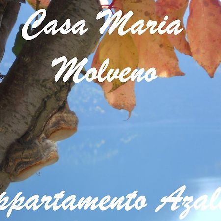 Апартаменты Casa Maria Мольвено Номер фото