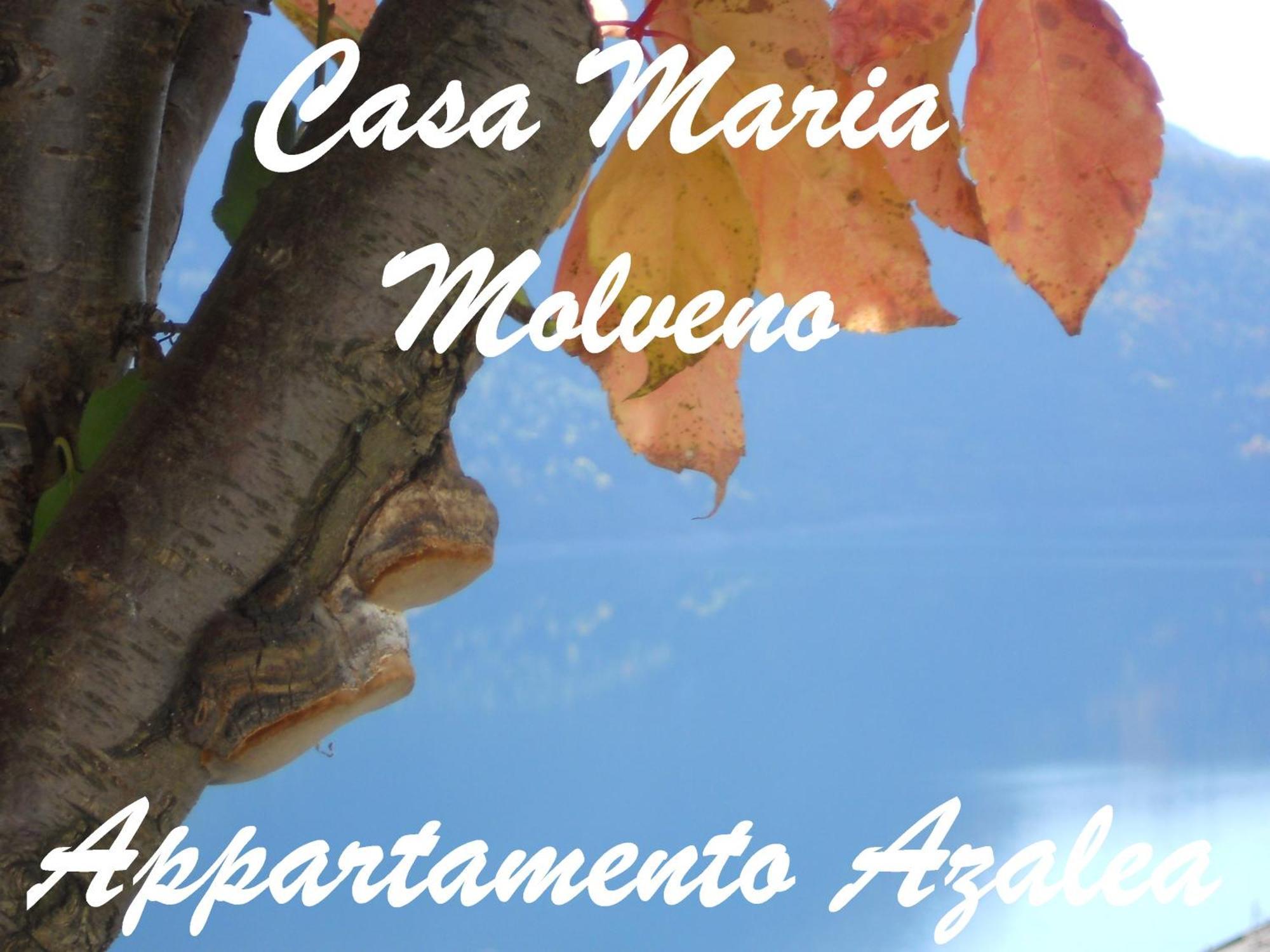 Апартаменты Casa Maria Мольвено Номер фото